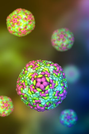 Enteroviruses, 3D illustration showing spherical, non-enveloped RNA viruses responsible for diseases like meningitis, myocarditis, hand-foot-mouth disease.の写真素材