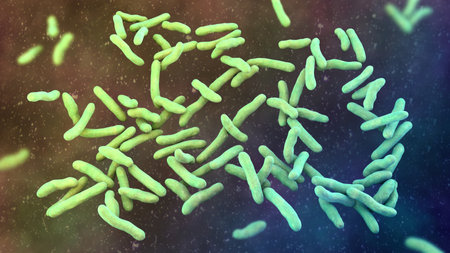 Niallia tiangongensis bacteria, 3D illustration of spaceborne bacterium found aboard China's...