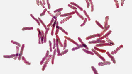 Niallia tiangongensis bacteria, 3D illustration of spaceborne bacterium found aboard China's...