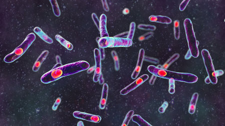 Niallia tiangongensis bacteria, 3D illustration of spaceborne bacterium found aboard China's...