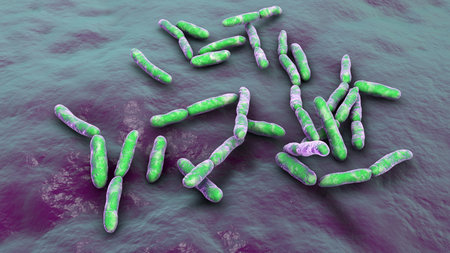 Escherichia albertii bacteria, 3D illustration. An emerging gastrointestinal pathogen linked to...