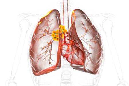 Mediastinal lymphadenitis within transparent human lungs, 3D illustration.の写真素材
