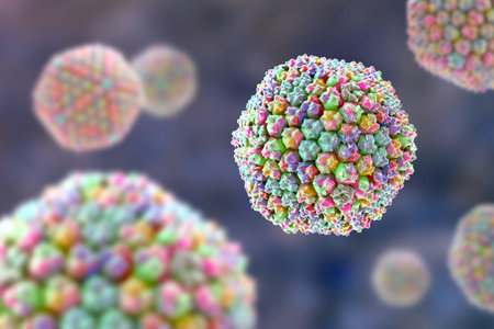 Adenovirus, 3D illustration showing the icosahedral capsid with characteristic surface fibres and...