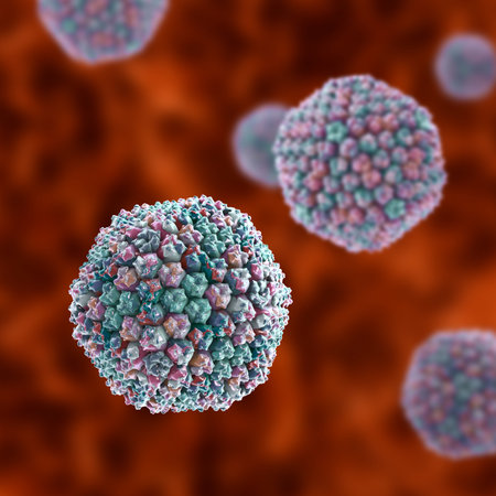 Adenovirus, 3D illustration showing the icosahedral capsid with characteristic surface fibres and...