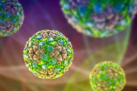 Foot-and-mouth disease virus virion, 3D illustration showing a non-enveloped icosahedral capsid of an Aphthovirus with positive-sense single-stranded RNA genome causing highly contagious livestock disease.の写真素材
