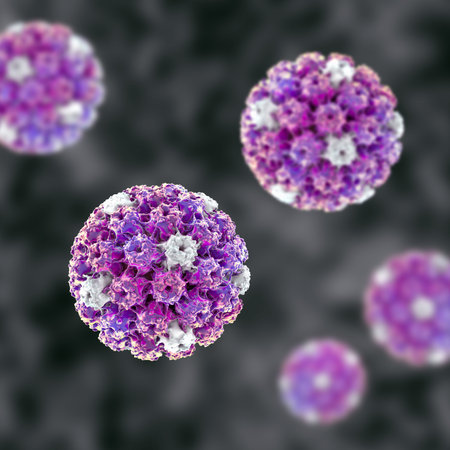 Human papillomavirus type 16 virion, 3D illustration showing the non-enveloped icosahedral capsid composed of L1 and L2 structural proteins characteristic of high risk oncogenic papillomaviruses.の写真素材