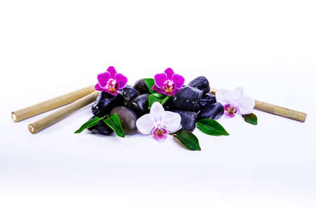 Orchid Spa backgroundの写真素材