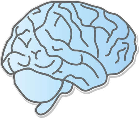 a medical brain wallpaper in a modern designの写真素材