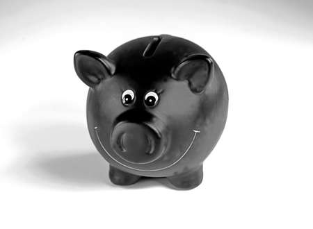 Black piggyback against white backgroundの写真素材