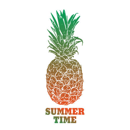 Hand drawn vector illustration - Pineapple. Exotic tropical fruit. Sketch. Outline. Perfect for...