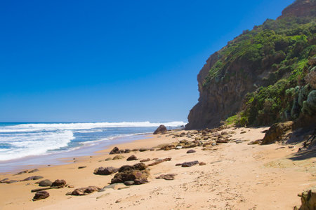 hiking the great ocean walk on wreck beach, victoria in australiaの写真素材