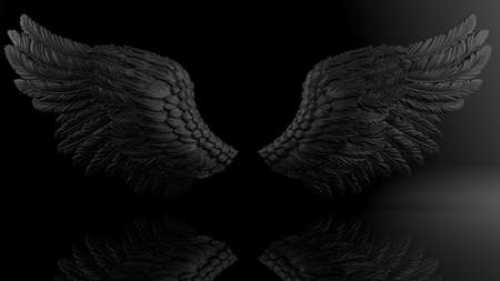 Black wings under black-white lighting background. Concept image of free activity, decision without regret and strategic action. 3D CG. 3D illustration.の写真素材