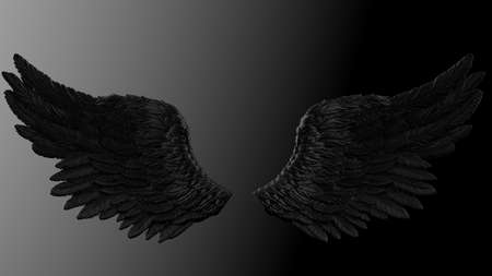 Black wings under black-white lighting background. Concept image of free activity, decision without regret and strategic action. 3D CG. 3D illustration.の写真素材