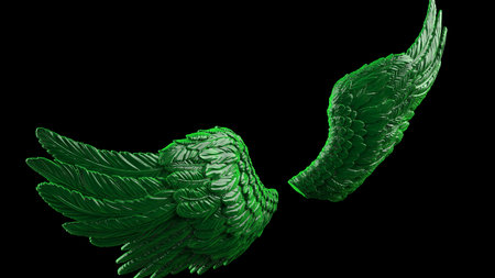 Red-white wings under black-white lighting background. Concept image of free activity, decision...