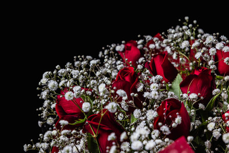 Roses and hazel on black background under spotlight. Concept photos for wedding anniversaries, entrance ceremonies, and acceptance announcements.の写真素材