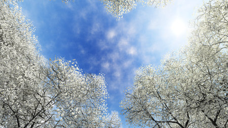 Blue sky and white flowers. 3D illustration. 3D rendering.の写真素材