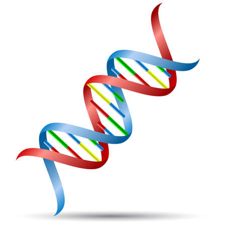 DNA helix. のイラスト素材