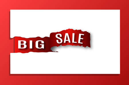 inscription big sale. Vector Illustrationのイラスト素材