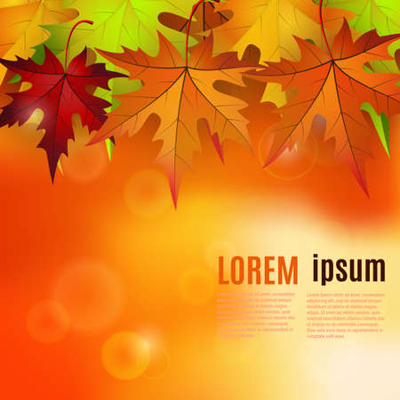 autumn background with red and yellow leaves, vector illustrationのイラスト素材