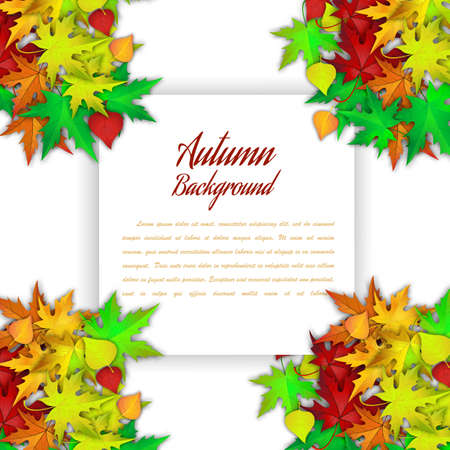 Autumn Frame With Blank Sheet of Paper and Leaves Over and Under It. Over White Background. Elegant Design with Text Space . Vector Illustrationのイラスト素材