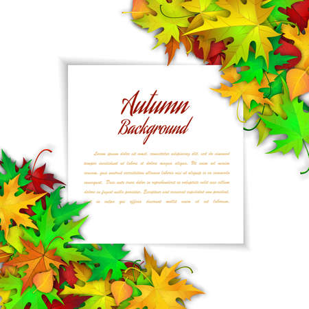 Autumn Frame With Blank Sheet of Paper and Leaves Over and Under It. Over White Background. Elegant Design with Text Space . Vector Illustrationのイラスト素材