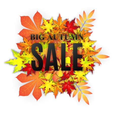 Autumn typographical background with autumn leaves.  Fall leaf. Autumn sale vector bannerのイラスト素材