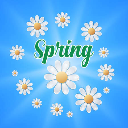 Fresh spring background with daisies  on blue background. vector illustrationのイラスト素材