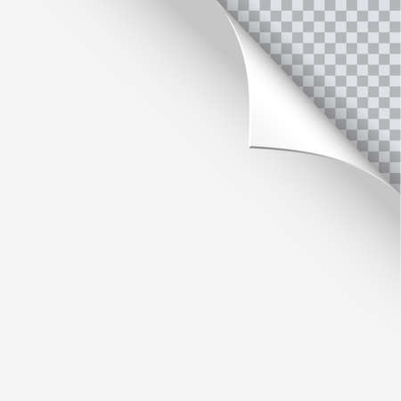 Page curl with shadow on blank sheet of paper.  Vector illustration for your design and businessのイラスト素材