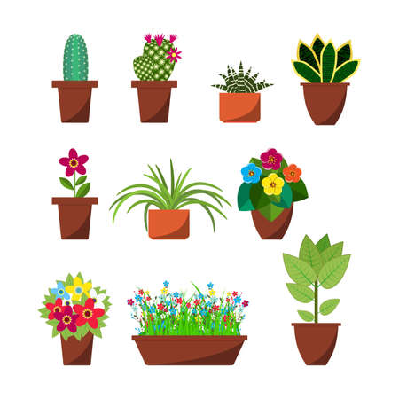 House plants and flowers for interior decoration flat icons collection. Home pot plant and tree plants with flowers and leaves. vector illustration in flat designのイラスト素材