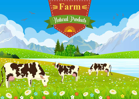 Three cows in a landscape and a farm. meadows and mountains Organic and natural food concept. vector illustrationのイラスト素材