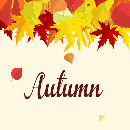Autumn background with colorful leaves. Autumn card template, banner advertising vector illustrationのイラスト素材
