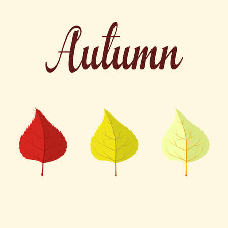 Autumn background with colorful leaves. Autumn card template, banner advertising vector illustrationのイラスト素材