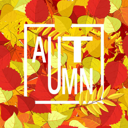 autumn background with red and yellow fall leaves and text. vector illustrationのイラスト素材