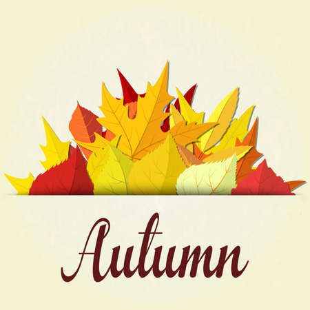 autumn background with red and yellow leaves, vector illustrationのイラスト素材