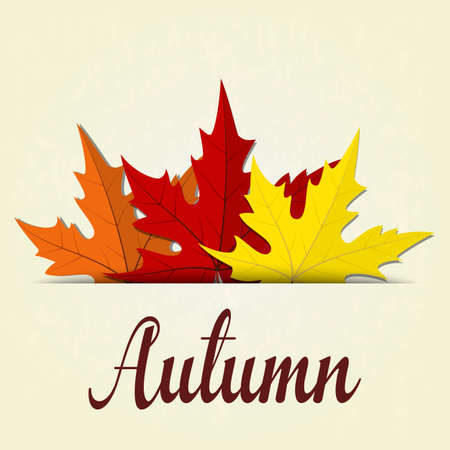 autumn background with red and yellow leaves, vector illustrationのイラスト素材