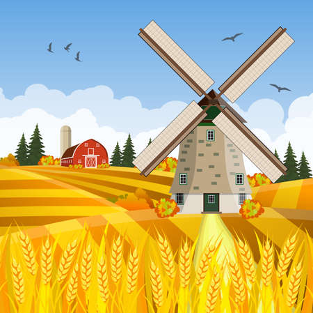 Cartoon beautiful fall farm scene with wheat fields. Farm flat landscape. Organic food concept for any designのイラスト素材