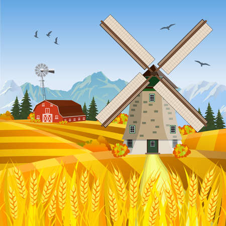 Cartoon beautiful fall farm scene with wheat fields. Farm flat landscape. Organic food concept for any designのイラスト素材