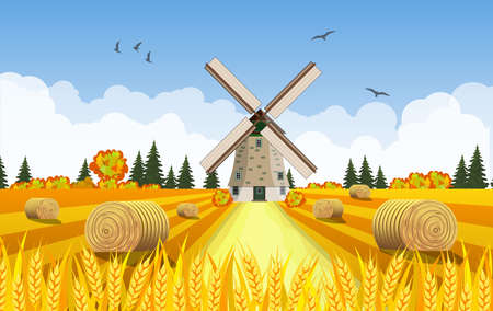 Countryside landscape with haystacks on fields. Rural area landscape. Hay bales. Farm flat landscape. Organic food concept for any designのイラスト素材