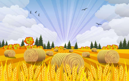 Countryside landscape with haystacks on fields. Rural area landscape. Hay bales. Farm flat landscape. Organic food concept for any designのイラスト素材