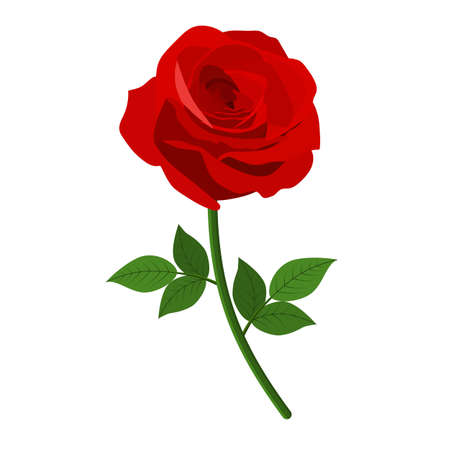 Red Roses iconの写真素材