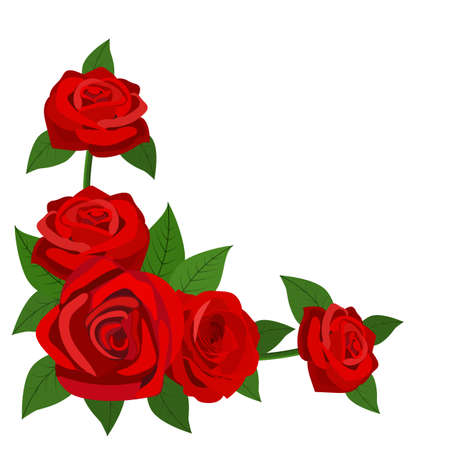 Red roses with leaves isolated on a white backgroundのイラスト素材