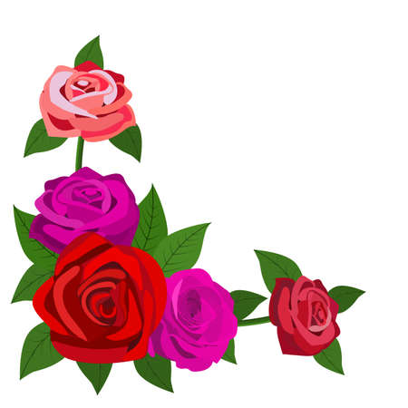 red roses with leaves isolated on a white backgroundのイラスト素材