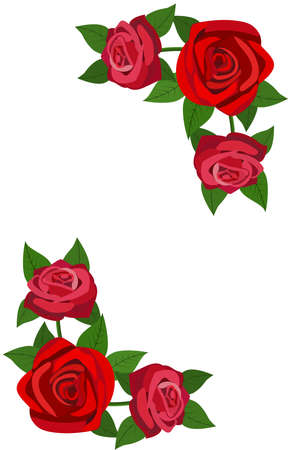 Red roses with leaves isolated on a white backgroundのイラスト素材