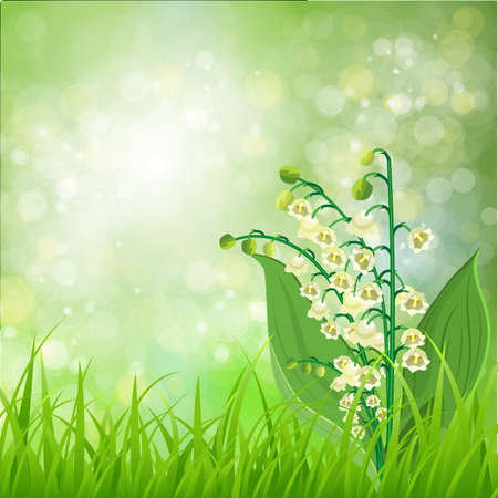 Spring landscape. flowers lily of the valleyのイラスト素材