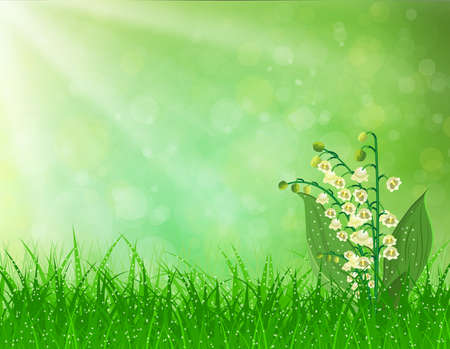 Spring landscape. flowers lily of the valleyのイラスト素材