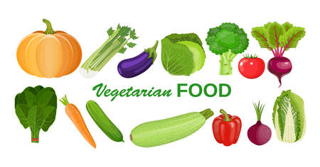 Eco food menu background. Fresh organic food, healthy eating vector illustration in flat style. vegetables for farm market, vegetarian salad recipe designのイラスト素材