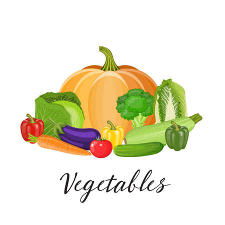 Set of vegetables with pumpkin, broccoli, tomato, bell pepper, cabbage, zucchini, eggplant, carrot, cucumber.のイラスト素材