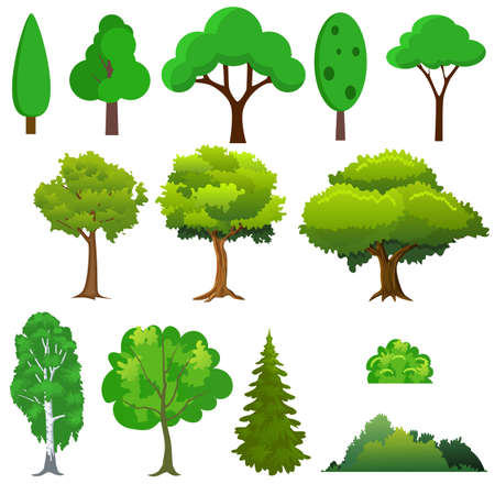 Illustration of a set of different trees. Vector illustration in flat styleのイラスト素材