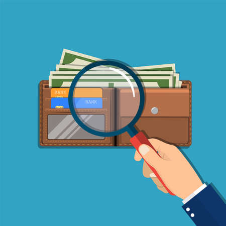 Hand with magnifying glass and leather wallet with dollar cash, coins, bank cards. Check the financial stability. Vector illustration in flat styleのイラスト素材