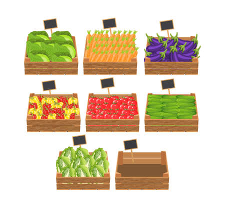 crates with fresh vegetables. Natural, healthy food concept. Organic vegetables from the farm collected in the wooden box. Vector illustration in flat styleのイラスト素材